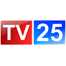 ტელეარხი 25